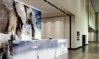 reception glass